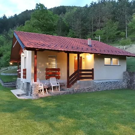 Vikend Kuca Maksimovic Villa Mataruska Banja Ngoại thất bức ảnh