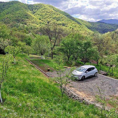 Vikend Kuca Maksimovic Villa Mataruska Banja Ngoại thất bức ảnh