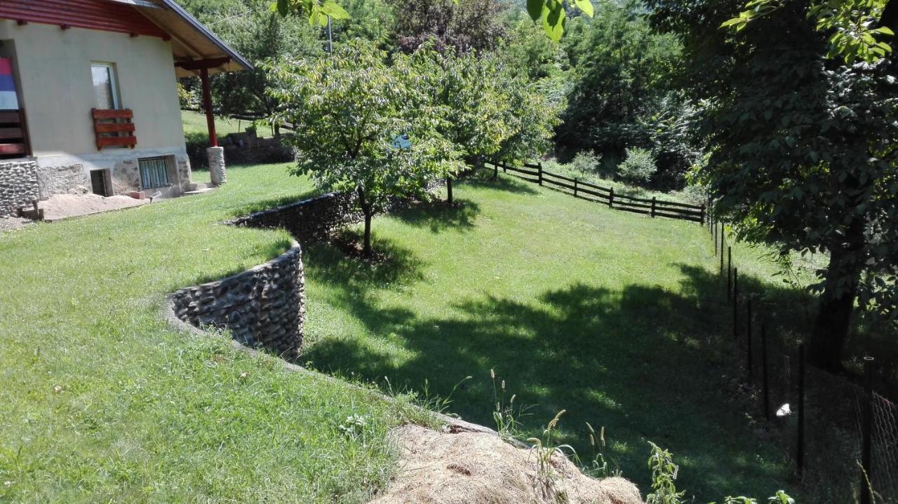 Vikend Kuca Maksimovic Villa Mataruska Banja Ngoại thất bức ảnh