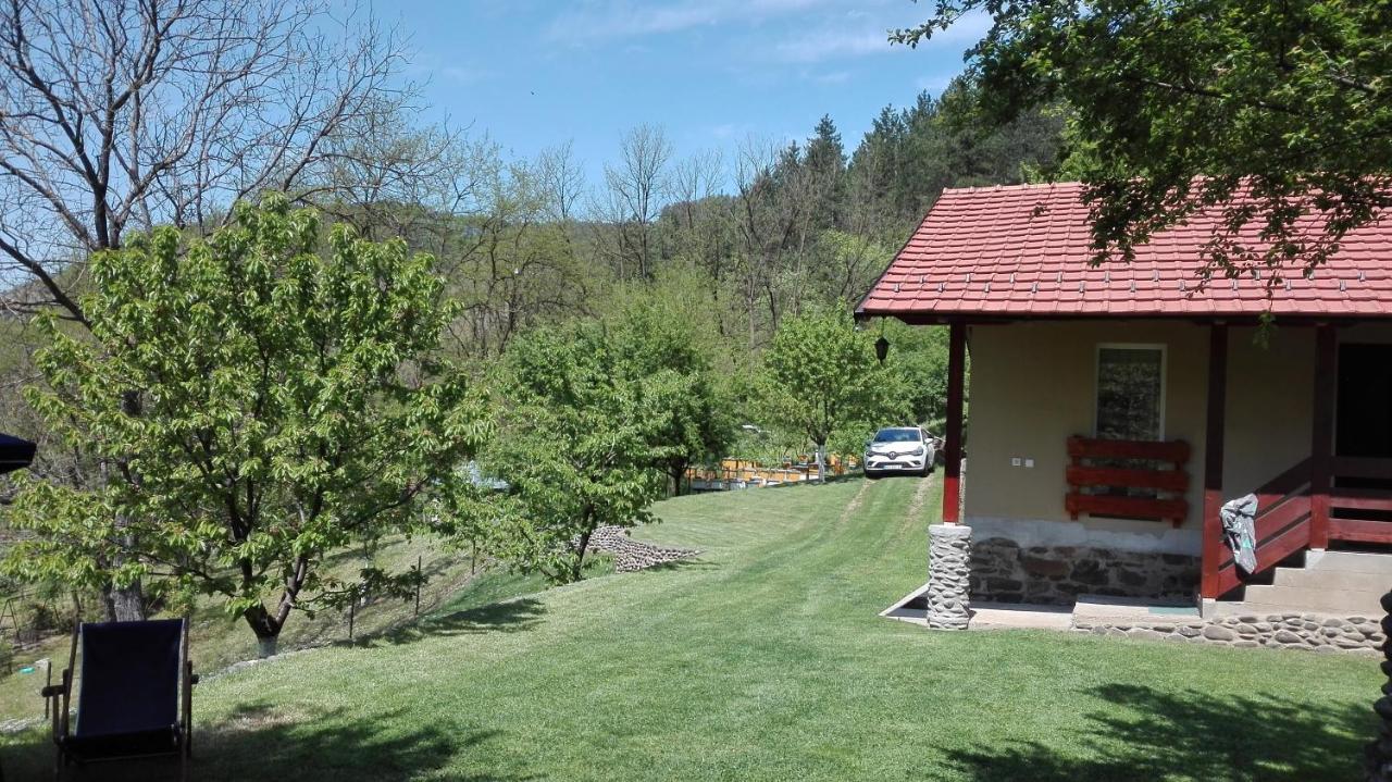 Vikend Kuca Maksimovic Villa Mataruska Banja Ngoại thất bức ảnh