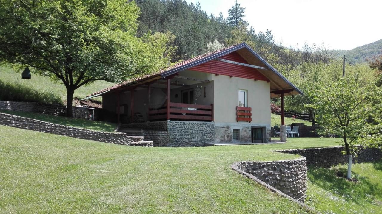 Vikend Kuca Maksimovic Villa Mataruska Banja Ngoại thất bức ảnh