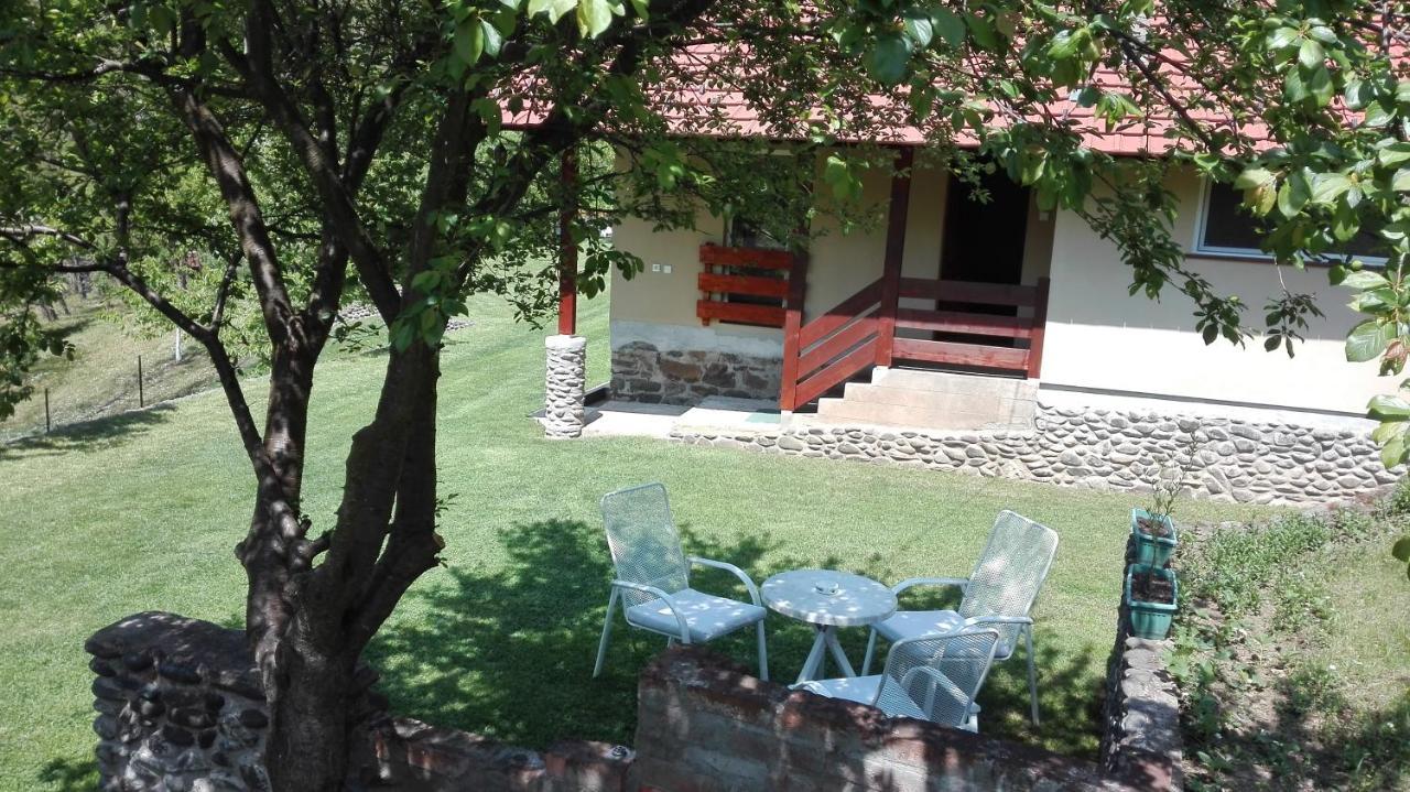 Vikend Kuca Maksimovic Villa Mataruska Banja Ngoại thất bức ảnh