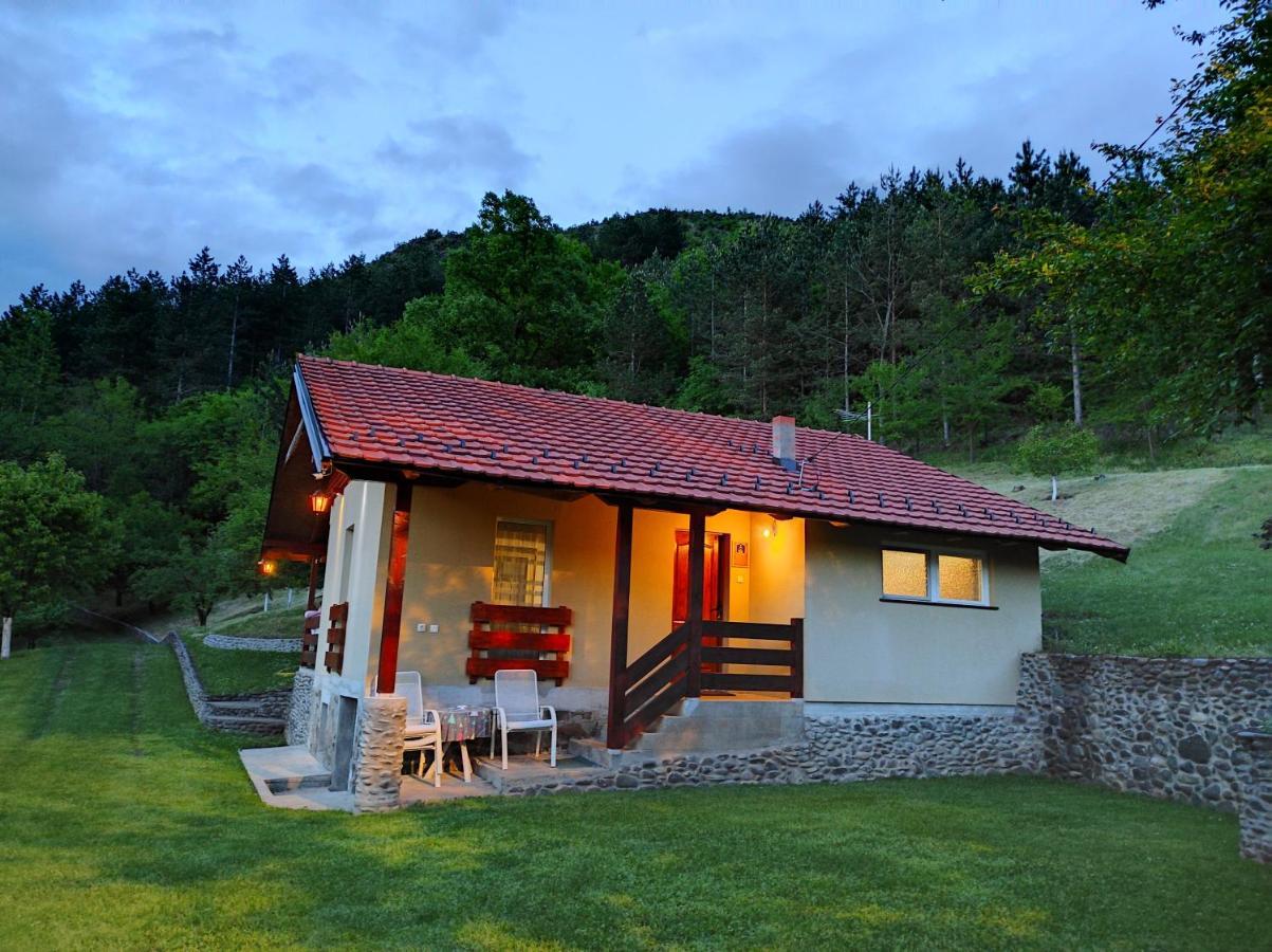 Vikend Kuca Maksimovic Villa Mataruska Banja Ngoại thất bức ảnh